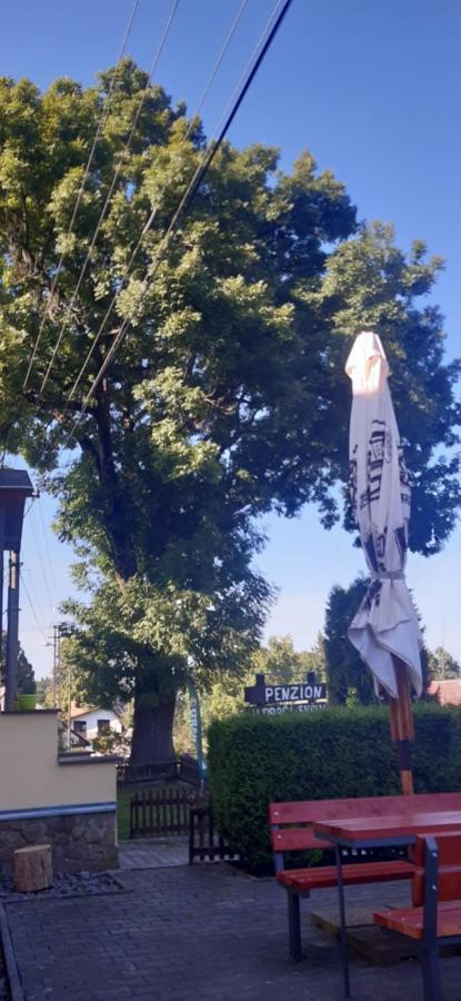 Hotel Penzion U Dračí skaly Svojse Exteriér fotografie