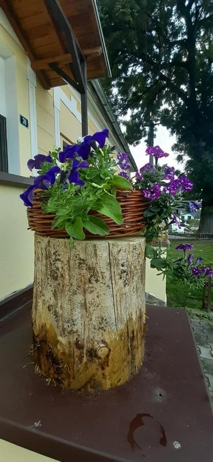 Hotel Penzion U Dračí skaly Svojse Exteriér fotografie
